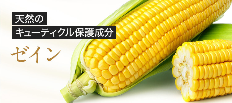天然のキューティクル保護成分ゼイン