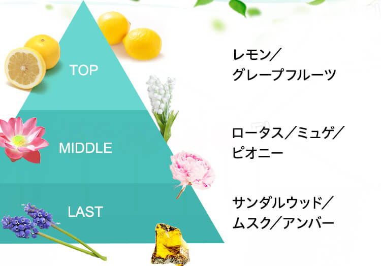 ・レモン／グレープフルーツ・ロータス／ミュゲ／ピオニー・サンダルウッド／ムスク／アンバー