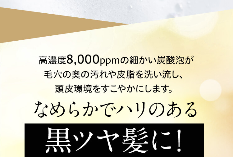 高濃度8,000ppmの細かい炭酸泡が毛穴の奥の汚れや皮脂を洗い流し、頭皮環境をすこやかにします。なめらかでハリのある黒ツヤ髪に！