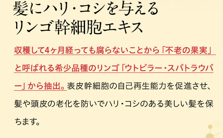 髪にハリ・コシを与えるリンゴ幹細胞エキス　収穫して4ヶ月経っても腐らないことから「不老の果実」と呼ばれる希少品種のリンゴ「ウトビラー・スパトラウバー」から抽出。表皮幹細胞の自己再生能力を促進させ、髪や頭皮の老化を防いでハリ・コシのある美しい髪を保ちます。