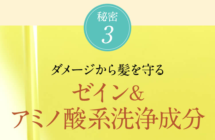 秘密3　ダメージから髪を守る　ゼイン＆アミノ酸系洗浄成分