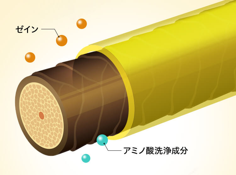 ゼイン　アミノ酸洗浄成分