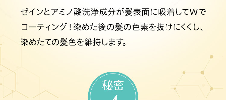ゼインとアミノ酸洗浄成分が髪表面に吸着してWでコーティング！染めた後の髪の色素を抜けにくくし、染めたての髪色を維持します。